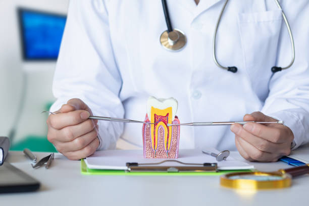 Best Emergency Dental Clinic in LA
